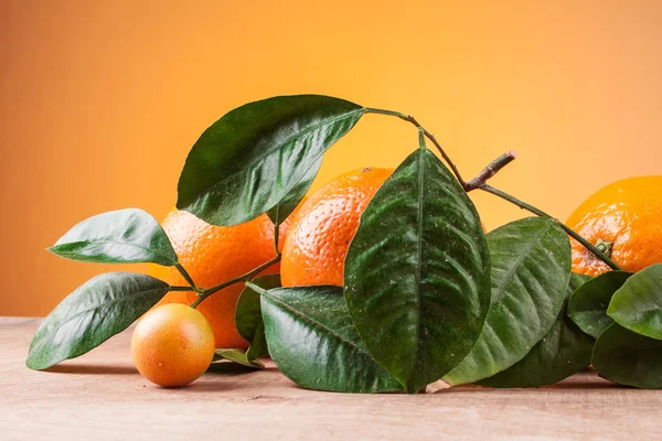 Oranges with shoots on a wooden table — Stock Photo, Image