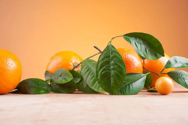 Oranges with shoots on a wooden table — Stock Photo, Image