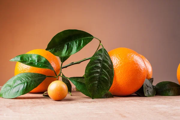 Oranges with shoots on a wooden table — Stock Photo, Image