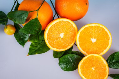 Turuncu meyve ağaç dal