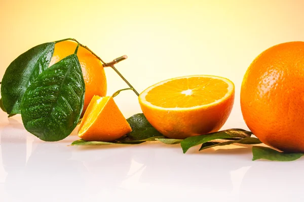 Orange frukt träd twig — Stockfoto