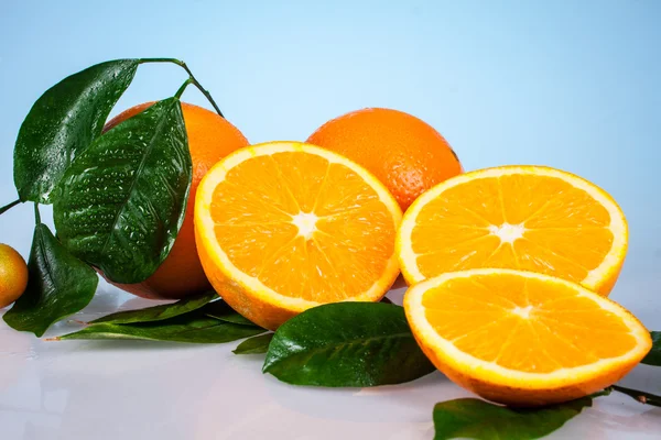 Orange fruit tree twig — Stock Photo, Image