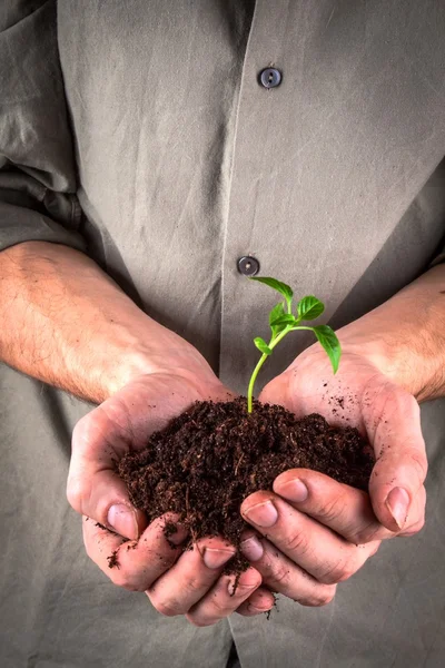 Gardener with onions grown — Stock Photo, Image