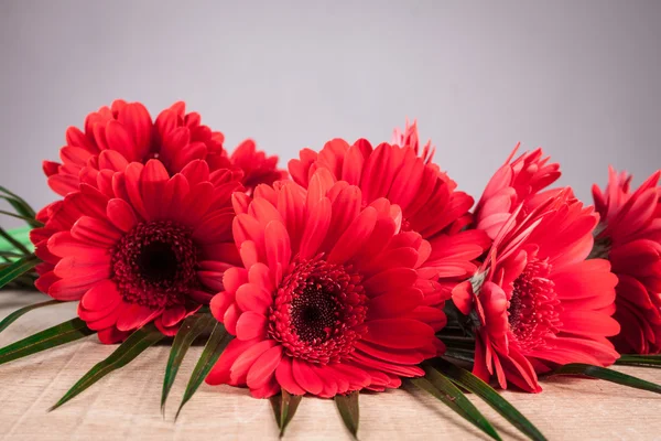 Gerbera su un tavolo di legno — Foto Stock