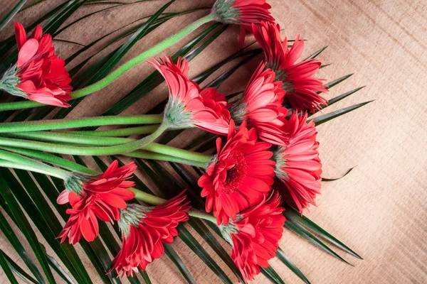 Gerbera su un tavolo di legno — Foto Stock