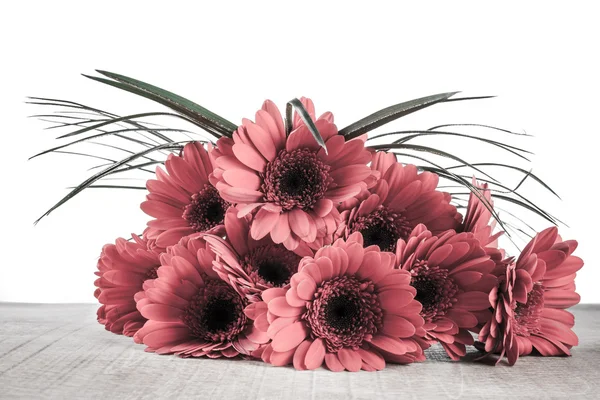 Gerbera su un tavolo di legno — Foto Stock