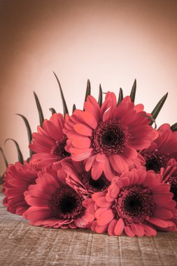 Ahşap bir masa üzerinde gerbera