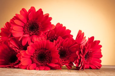 Ahşap bir masa üzerinde gerbera