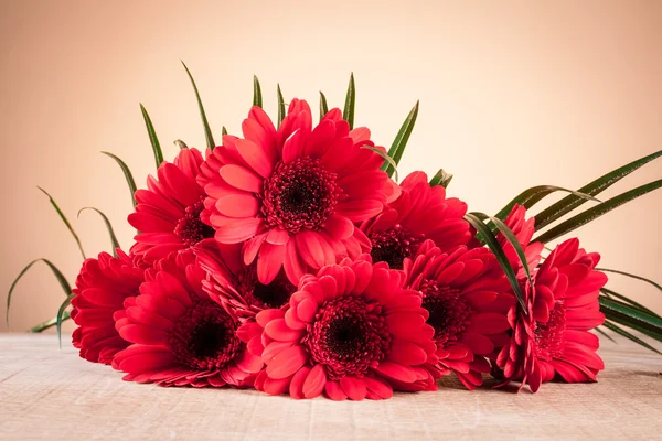 Gerbera su un tavolo di legno — Foto Stock