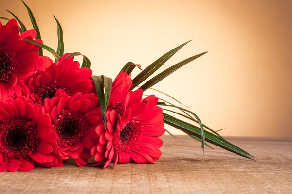 Gerbera su un tavolo di legno — Foto Stock