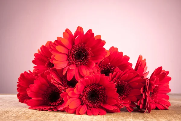 Gerbera su un tavolo di legno — Foto Stock