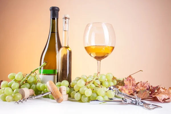 Weißwein in Flasche und Glas und ein Bund weißer Trauben — Stockfoto