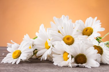 Ahşap bir masa üzerinde Leucanthemum vulgare