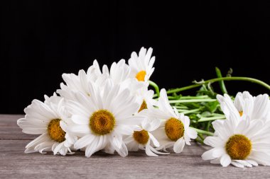 Ahşap bir masa üzerinde Leucanthemum vulgare