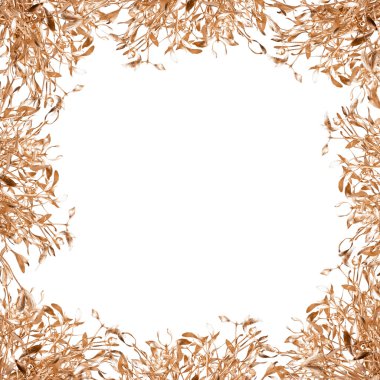 Noel zemin üzerine altın ökse otu