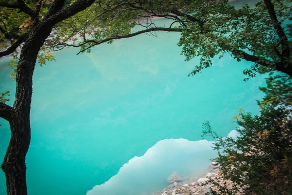 Fiume Azzurro e alberi di colore autunno — Foto Stock