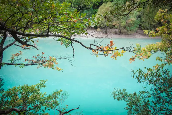 Fiume Azzurro e alberi di colore autunno — Foto Stock