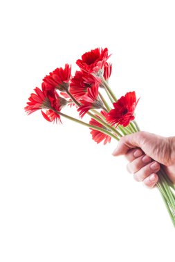 Kırmızı gerbera altına Sevgililer bağışladı