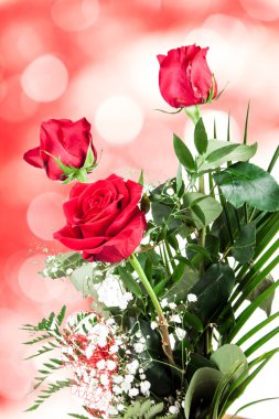 Doğal zemin üzerine kırmızı gül