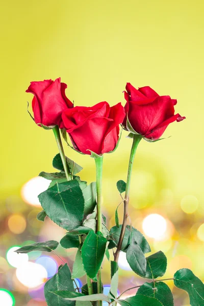 Rosa roja sobre fondo natural —  Fotos de Stock