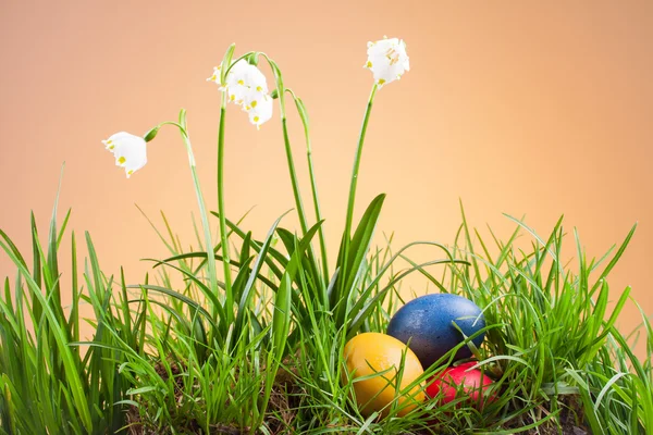 Spring snowflake in the grass and Easter eggs — Stock Photo, Image