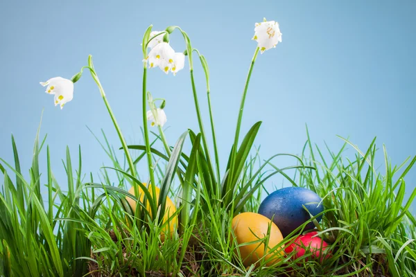 Våren snöflinga i gräset och påskägg — Stockfoto