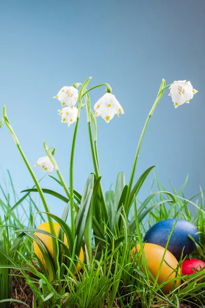 草とイースターエッグで春スノーフレーク — ストック写真