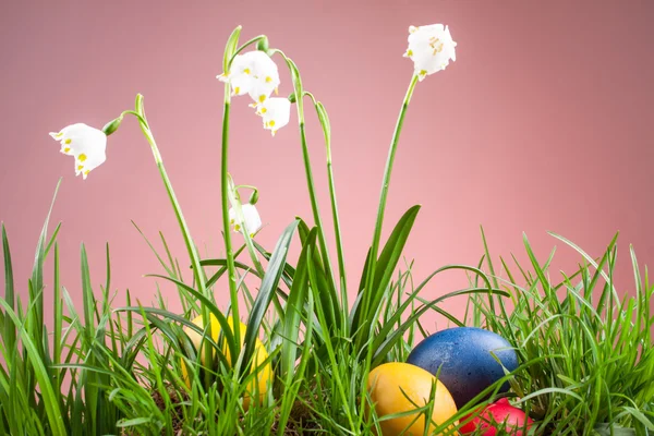 Spring snowflake in the grass and Easter eggs — Stock Photo, Image