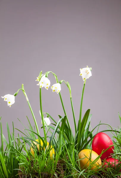 Tavaszi hópehely, a fű és a húsvéti tojás — Stock Fotó