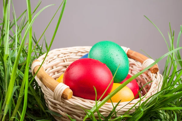 Easter basket with colored eggs — Stock Photo, Image