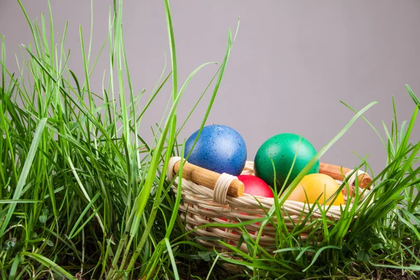 Easter basket with colored eggs — Stock Photo, Image