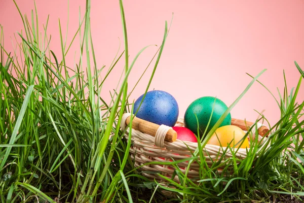 Easter basket with colored eggs — Stock Photo, Image