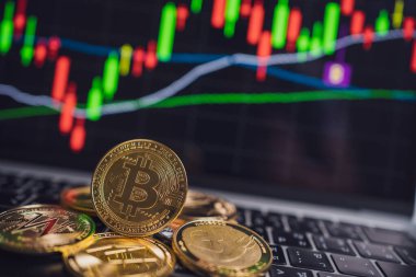 Dizüstü bilgisayarında grafikleri olan bitcoin.