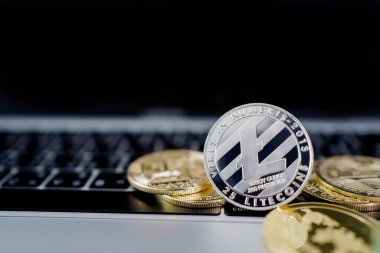 Sanal kripto para birimi kavramı. Dizüstü bilgisayardaki gümüş sikke Litecoin, yakın plan..