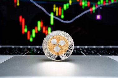 Kripto para - dalgalı para bilgisayar ekranında grafik arkaplanı olan bir dizüstü bilgisayara yerleştirilir.