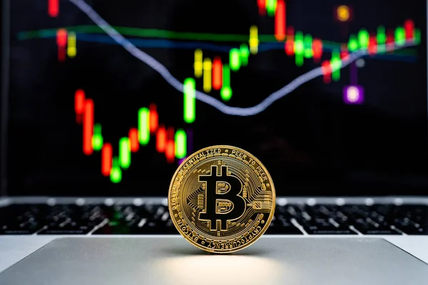 Moneda Criptomoneda Oro Bitcoin Coloca Ordenador Portátil Con Fondo Gráfico — Foto de Stock