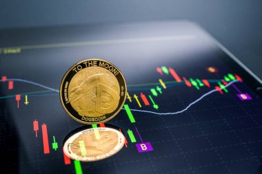 Dizüstü bilgisayarı, grafikleri ve grafikleri engelleyici konsepte sahip Dogecoin para birimi.