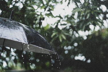 Yağmurda büyük siyah şemsiye ve bulutlu. Açık hava aktivitesi