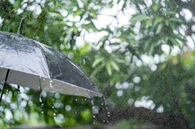 Kötü hava koşulları için siyah şemsiye kavramından yağmur damlaları.