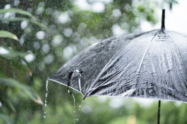 Kara şemsiye konseptinden düşen yağmur damlaları kötü hava, kış veya koruma için.