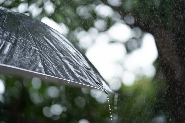 雨は黒い傘から降ってくる 雨の天気または保護 — ストック写真