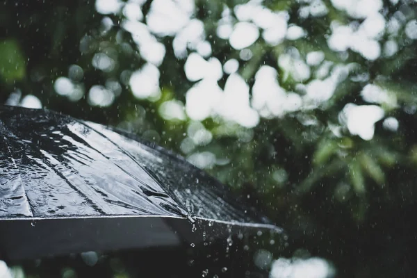 緑の自然背景に雨の中で傘 ヴィンテージトーン — ストック写真