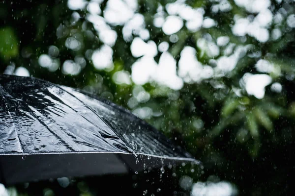 雨は悪天候のための黒い傘の概念から落ちる — ストック写真