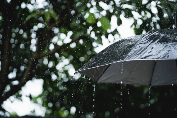 バック傘で雨の中でヴィンテージトーン — ストック写真