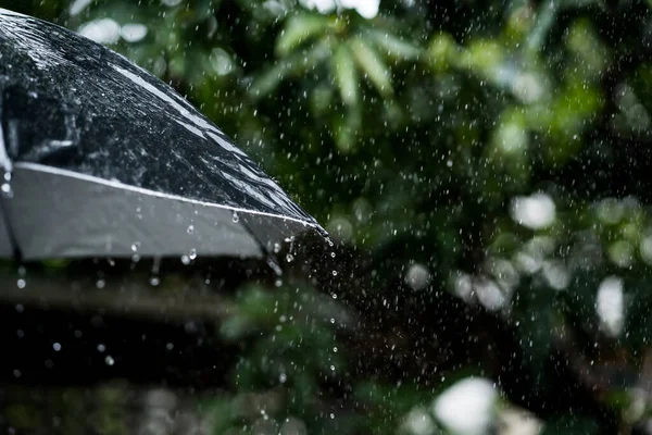 雨の中で傘を差した者 — ストック写真