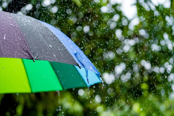 水滴と雨の中でぬれたカラフルな傘 雨の日 雨の日 — ストック写真