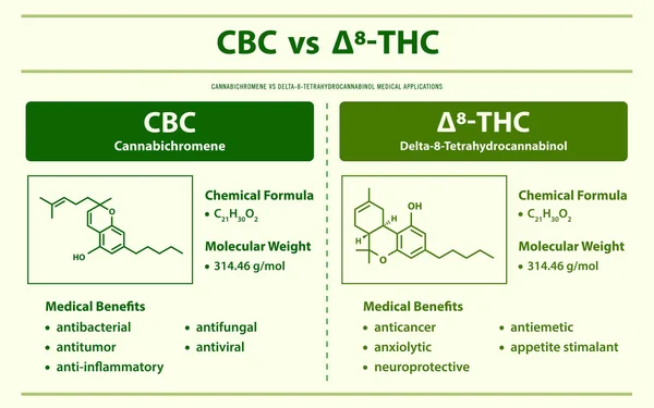 Cbc Thc Cannabichromen Delta Tetrahydrocannabinol Horizontale Infografische Illustration Über Cannabis — Stockvektor