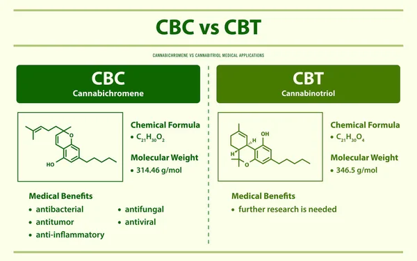 Cbc Cbt Cannabichromen Cannabitriol Horizontale Infografische Illustration Über Cannabis Als — Stockvektor