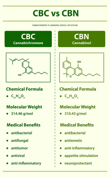 Cbc Cbn Cannabichromen Cannabinol Vertikale Infografische Illustration Über Cannabis Als — Stockvektor