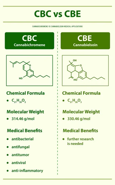 Cbc Cbe Cannabichromen Cannabielsoin Vertikaler Infografik Über Cannabis Als Pflanzliche — Stockvektor